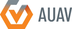 Logo 2